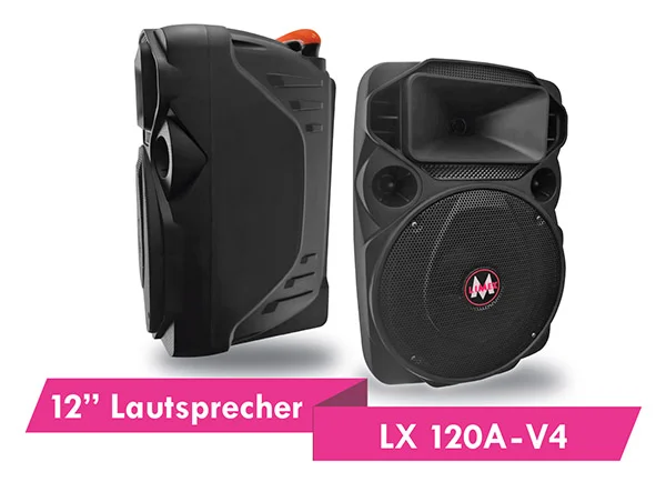 LIMEX Lautsprecher A-120 V4 und P-120 V4 SET